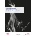 External Fire Exposure of Roof Decks within a Roof Build-Up